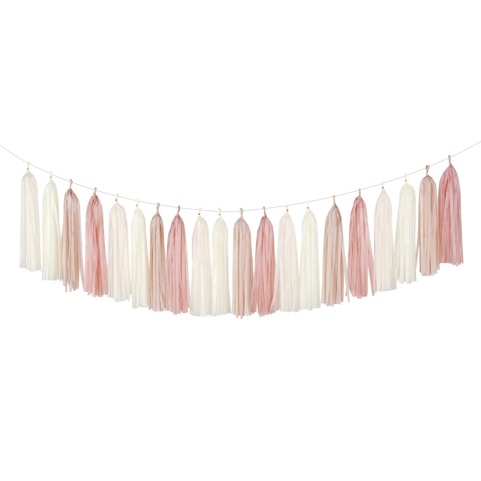 Paper Tassel Garland