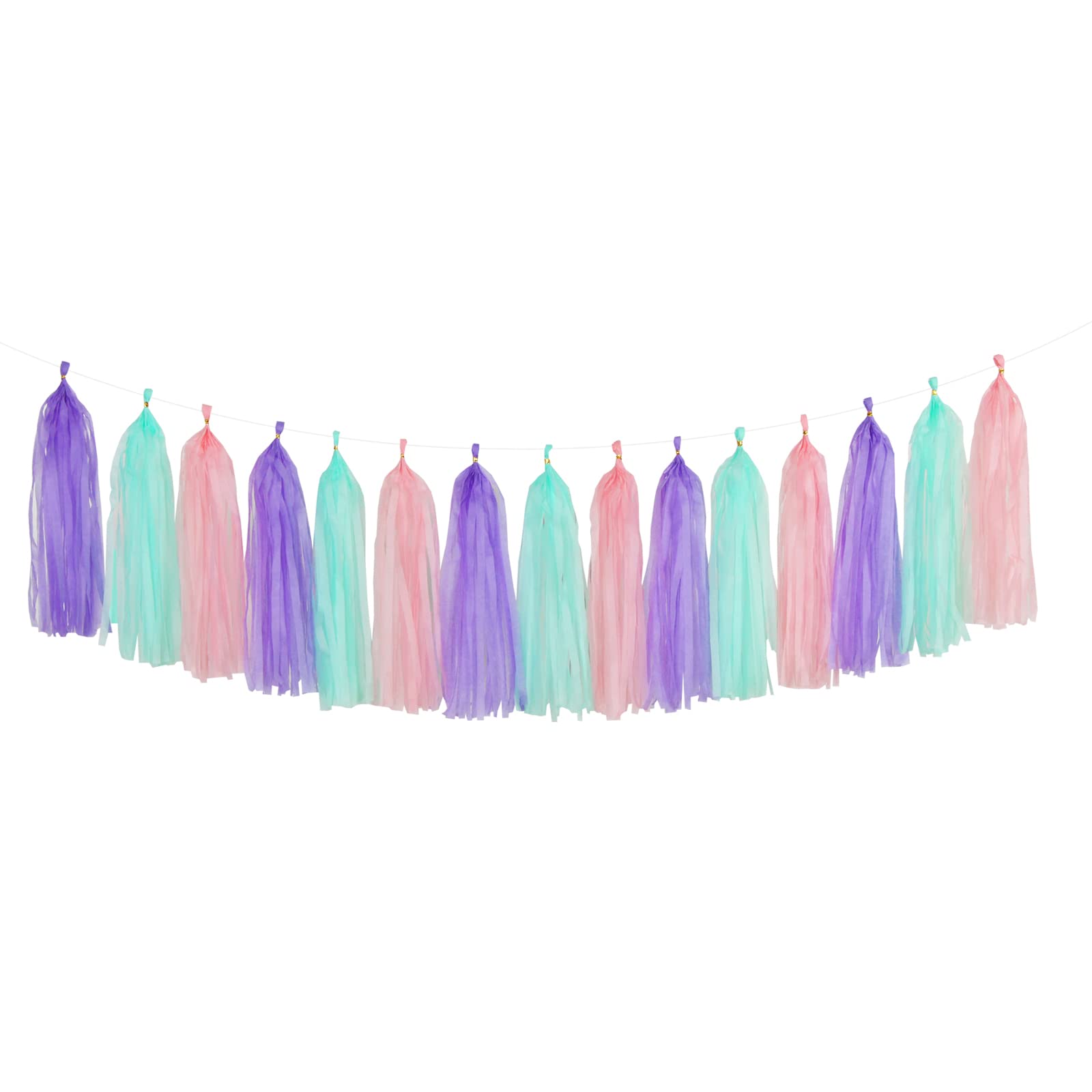 Paper Tassel Garland