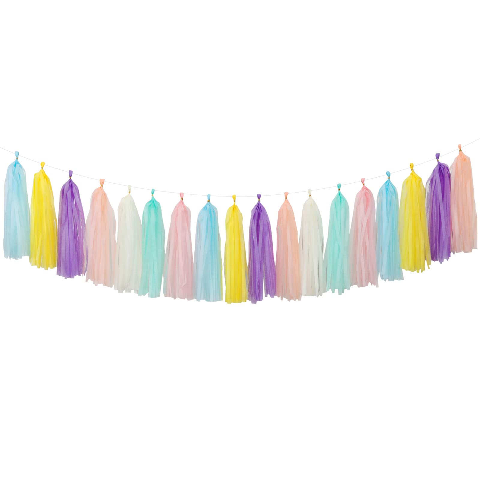 Paper Tassel Garland