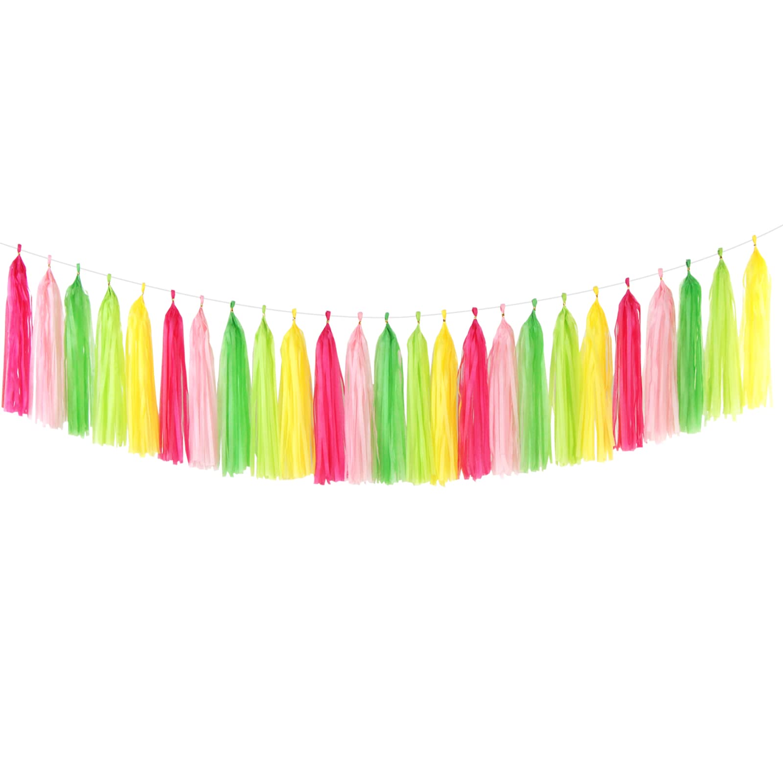 Paper Tassel Garland