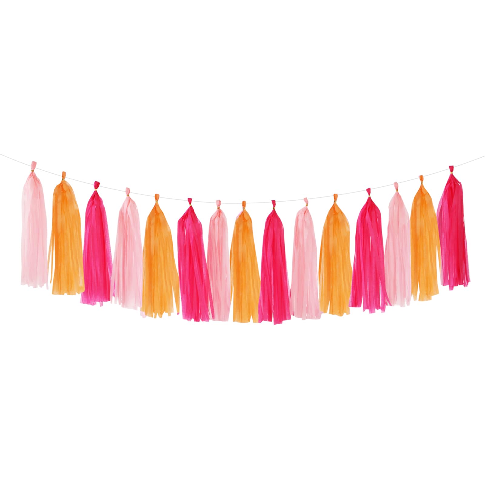 Paper Tassel Garland