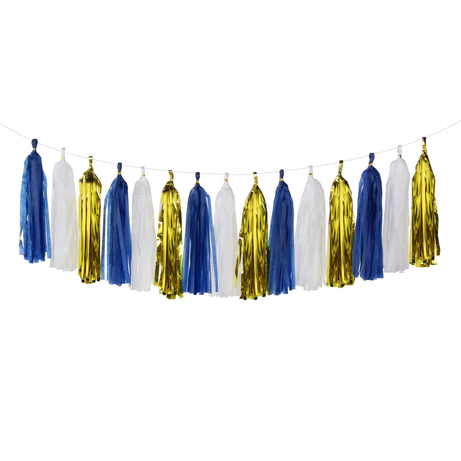 Paper Tassel Garland