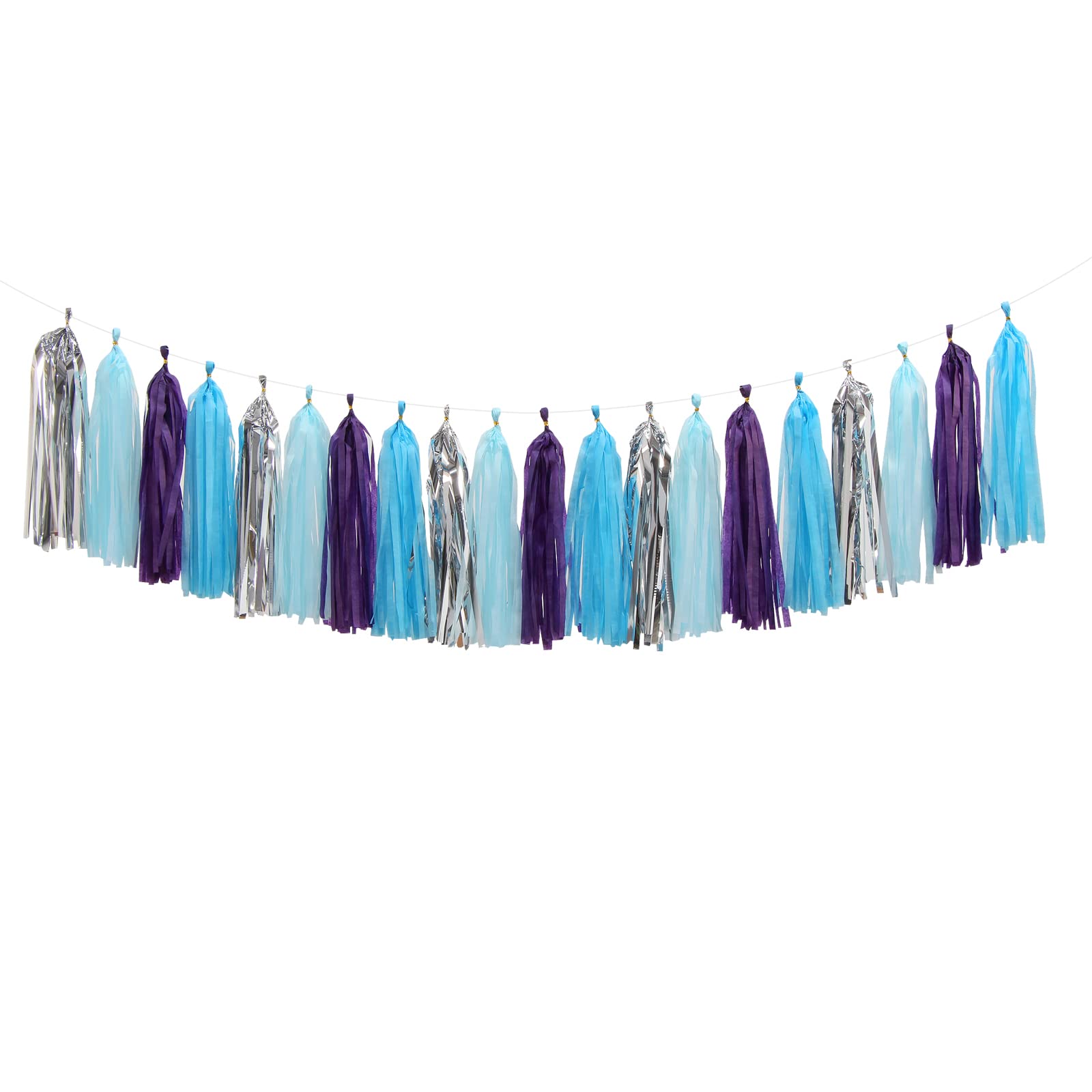 Paper Tassel Garland