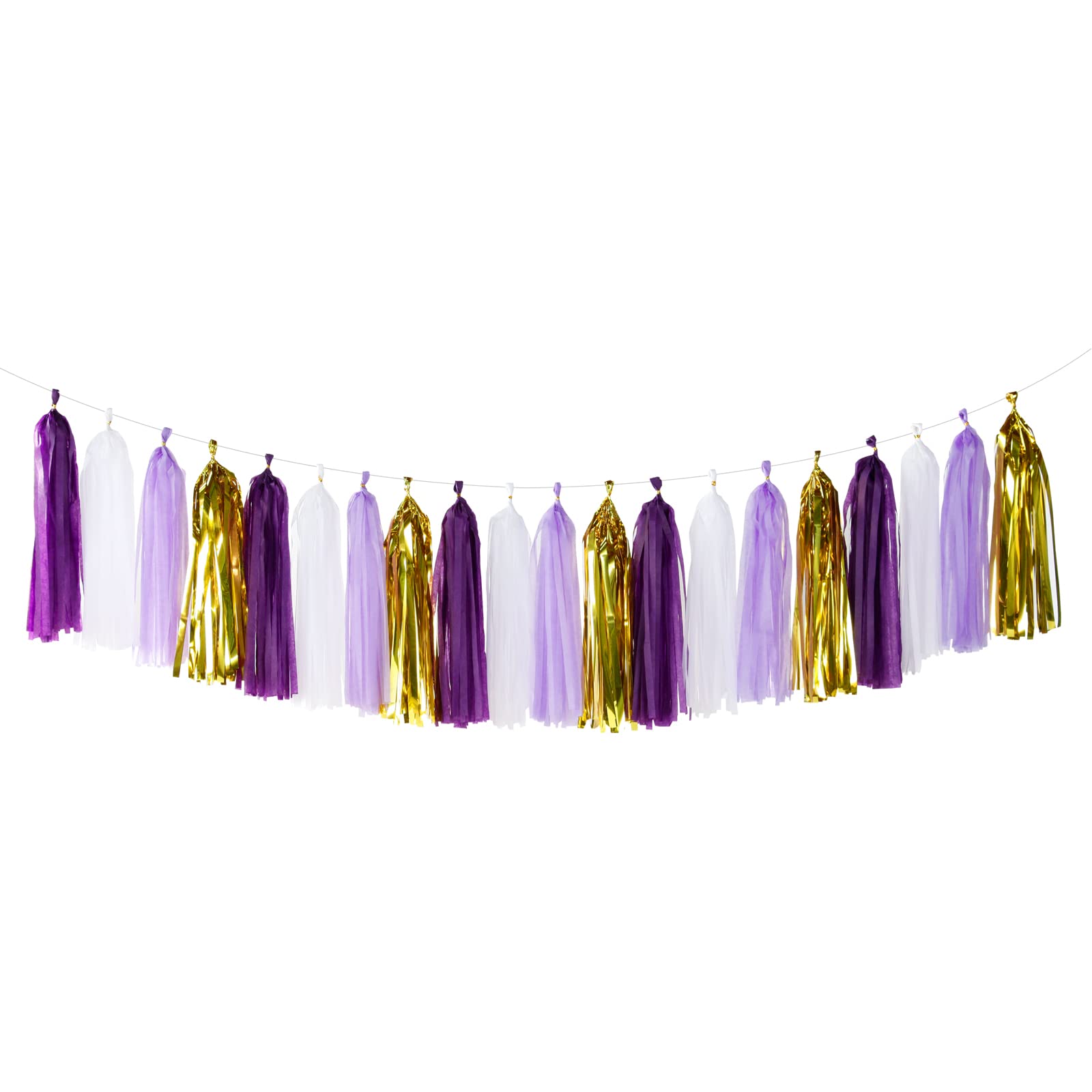 Paper Tassel Garland