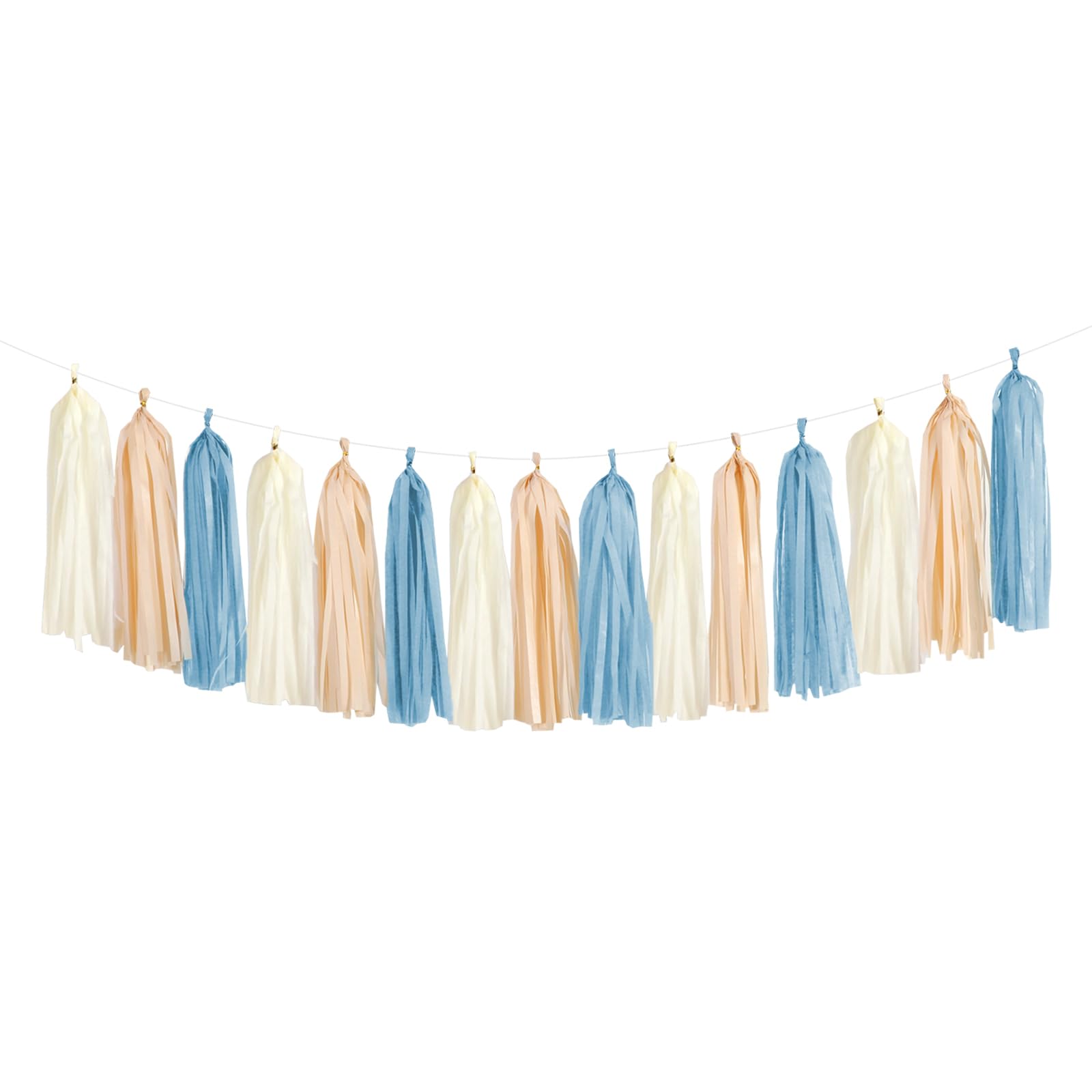 Paper Tassel Garland