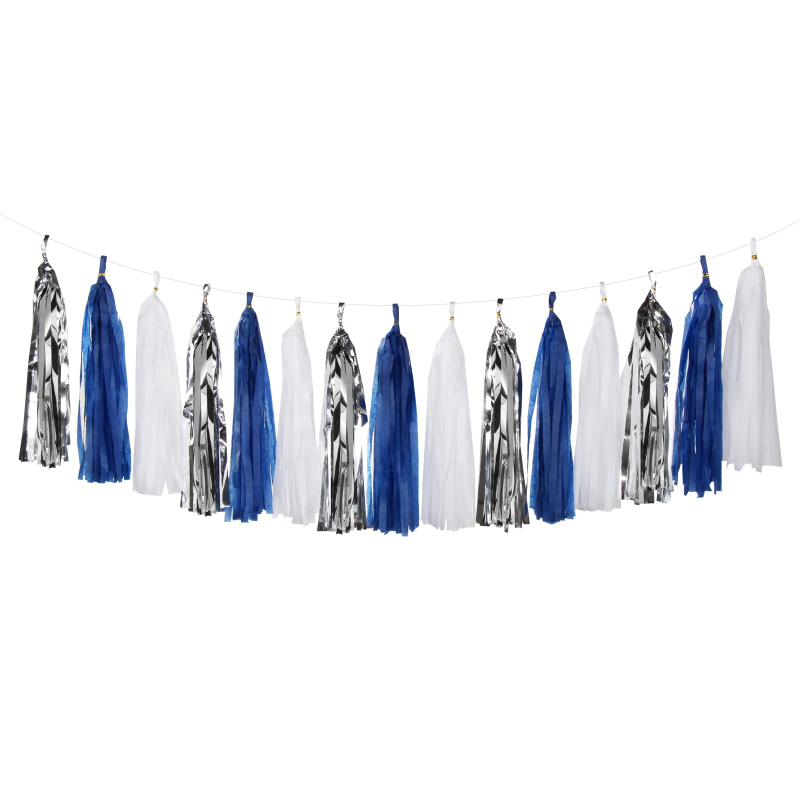 Paper Tassel Garland