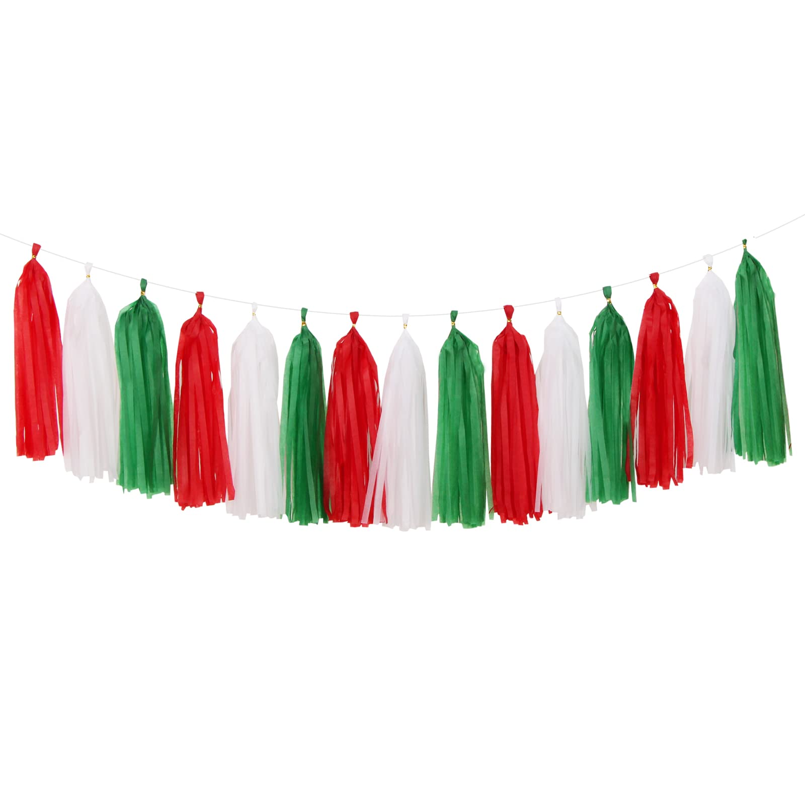 Paper Tassel Garland