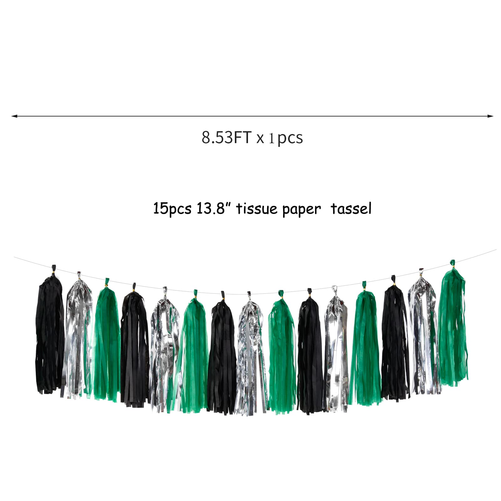 Paper Tassel Garland