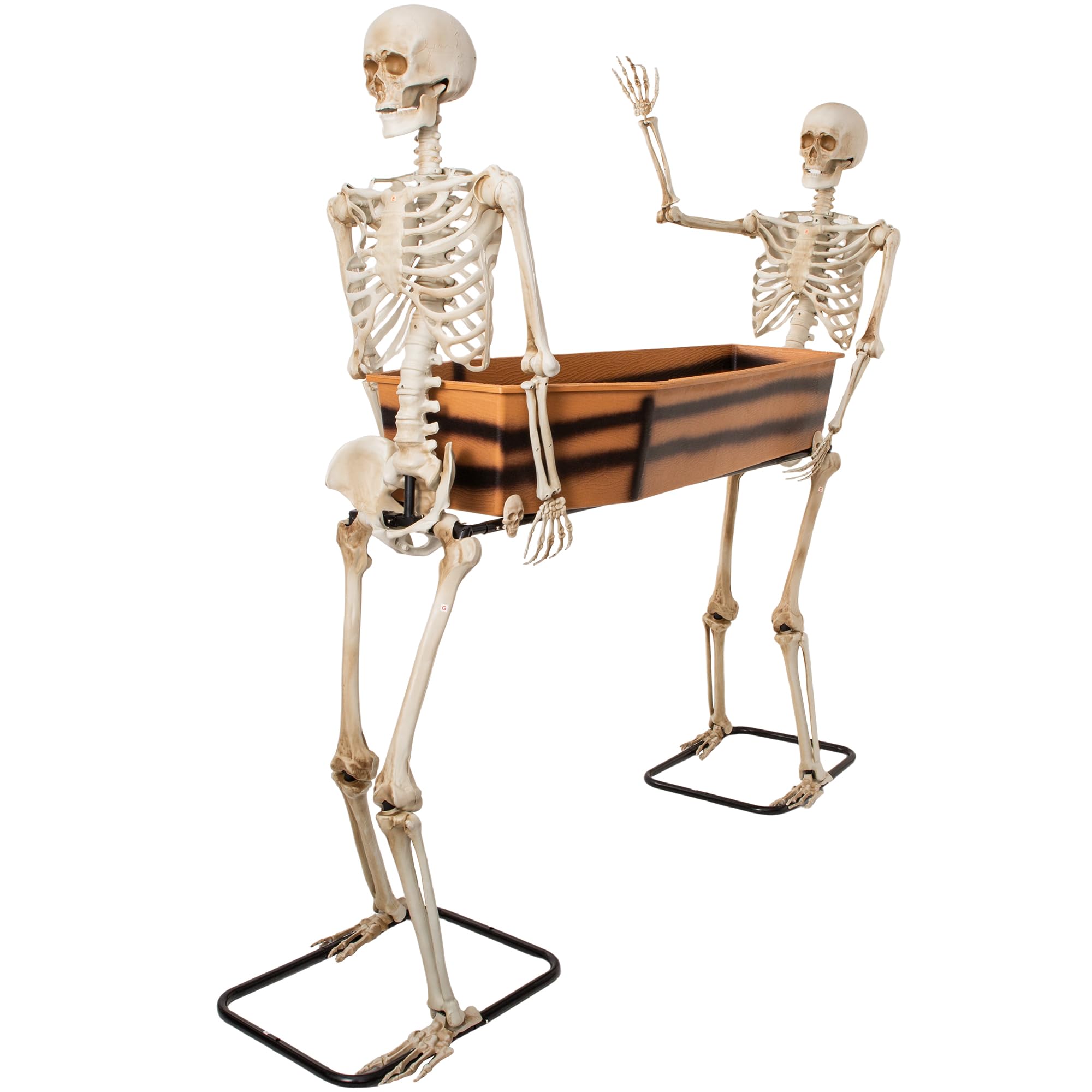 5FT Skeleton Coffin Halloween Decoration
